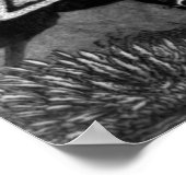 Slag om Cowpens Poster (Hoek)