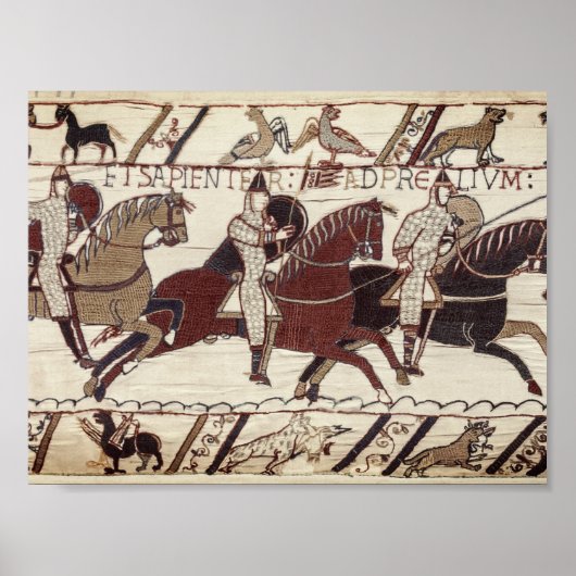 Slag om haasjes - Norman messghts Poster (Voorkant)