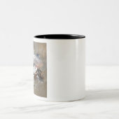 Slag op Rorkes Drift Tweekleurige Koffiemok (Center)