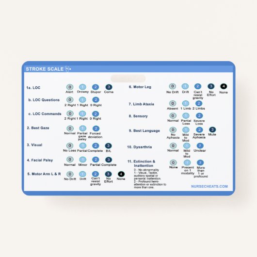 Slag-schaalbadge-aanvulling Badge (Voorkant)