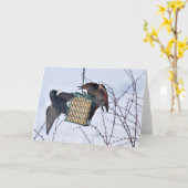Slag tussen Northern Flicker en Starling! Kaart (Gele Bloem)
