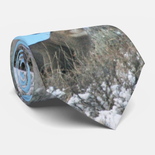 Slagantaarnpaal Stropdas (Opgerold)