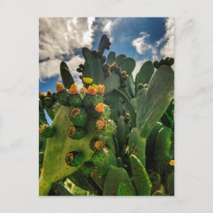 Slagende pearcactus briefkaart