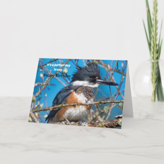 Slagende vogelpos Birthday Kaart (Voorkant)