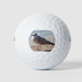 Slagmeeuw aan de wand golfballen (Voorkant)