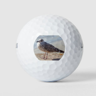 Slagmeeuw aan de wand golfballen