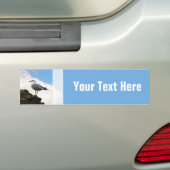 Slagmeeuw op een muur in Rome Bumpersticker (Op auto)