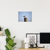 Slagmeeuw op een Poster na (Thuiskantoor)