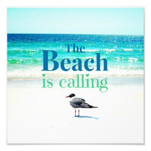 Slagmeeuw op het strand foto afdruk