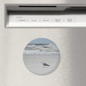 Slagmeeuw op het strand magneet (Insitu (Vaatwasser))