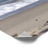 Slagmeeuw op het strand Poster (Hoek)