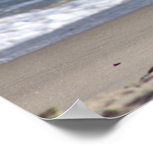 Slagmeeuw op het strand Poster (Hoek)