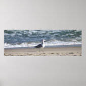 Slagmeeuw op het strand Poster (Voorkant)