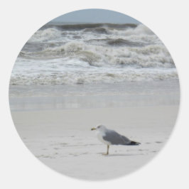 Slagmeeuw op het strand ronde sticker