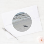 Slagmeeuw op het strand ronde sticker (Envelop)