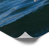 Slagmeeuw op het water poster (Hoek)