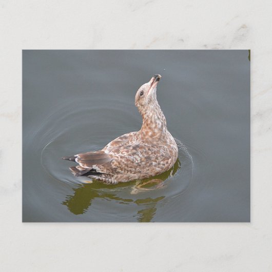 Slagtong wachten op handout briefkaart (Voorkant)