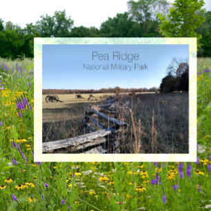 slagveld, nationaal militair park Pea Ridge, MO Briefkaart