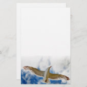 Slagzeug in de lucht dicht bij de blauwe lucht briefpapier (Voorkant / Achterkant)