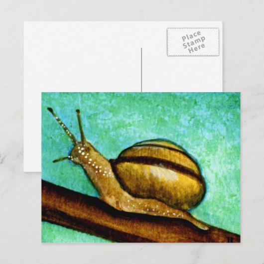 Slak 1 Briefkaart (Voorkant / Achterkant)