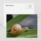 Slak 96 ~ briefkaart (Voorkant / Achterkant)