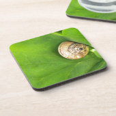 slak bier onderzetter (Linkerzijde)