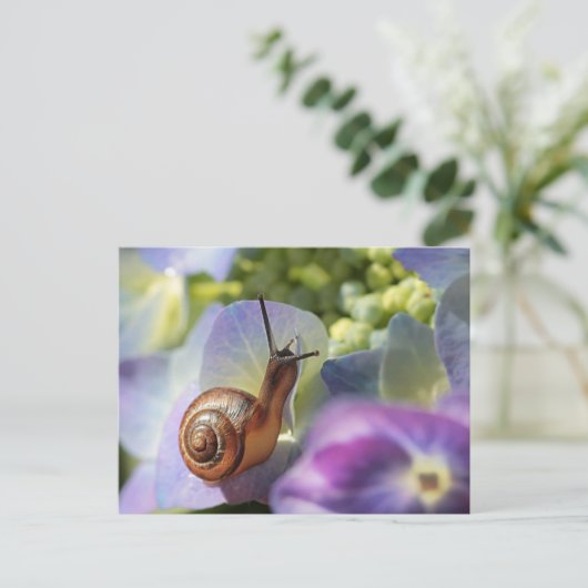 slak briefkaart (Staand voorkant)