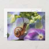 slak briefkaart (Voorkant / Achterkant)