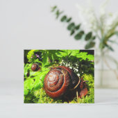 slak briefkaart (Staand voorkant)