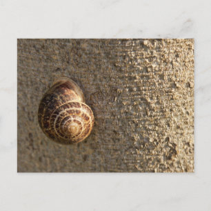 slak briefkaart