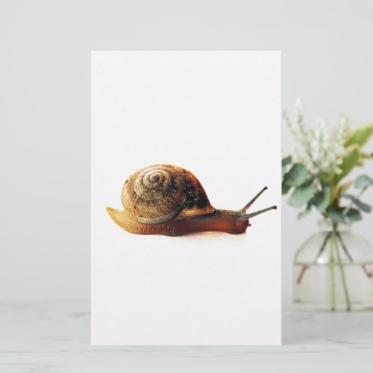 slak briefpapier (Staand voorkant)