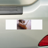 slak bumpersticker (Op auto)