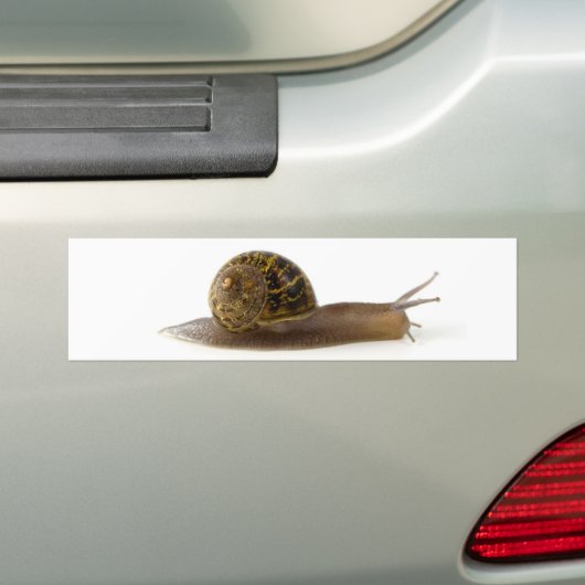slak bumpersticker (Op auto)