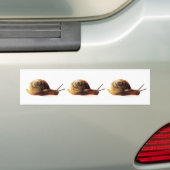 slak bumpersticker (Op auto)