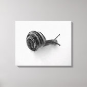 slak canvas afdruk (Voorkant)
