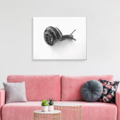 slak canvas afdruk (Insitu (Woonkamer))