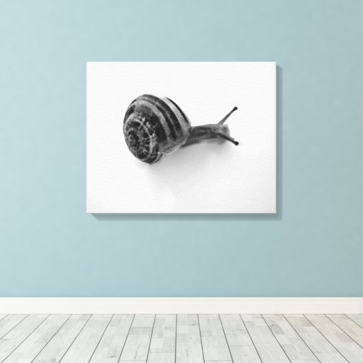 slak canvas afdruk (Insitu (Houten vloer))