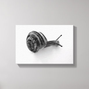 slak canvas afdruk