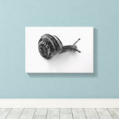 slak canvas afdruk (Insitu (Houten vloer))