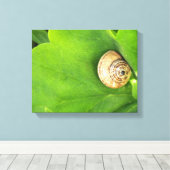 slak canvas afdruk (Insitu (Houten vloer))