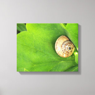 slak canvas afdruk