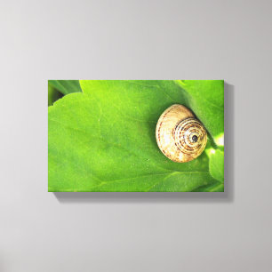 slak canvas afdruk