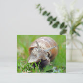 Slak eet gras briefkaart (Staand voorkant)