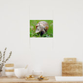 Slak eet Gras Poster (Keuken)