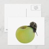 Slak en appel briefkaart (Voorkant / Achterkant)