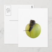 Slak en appel briefkaart (Voorkant / Achterkant)