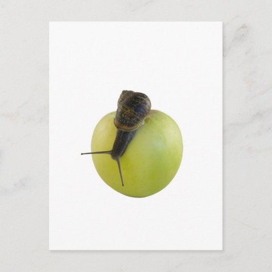 Slak en appel briefkaart (Voorkant)