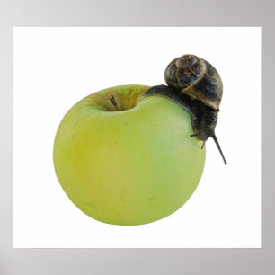 Slak en appel poster
