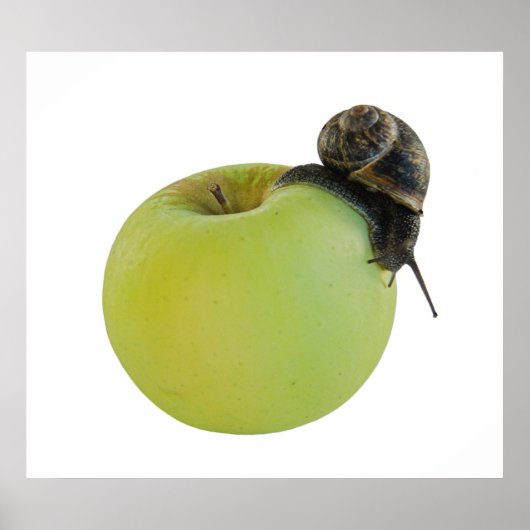 Slak en appel poster (Voorkant)
