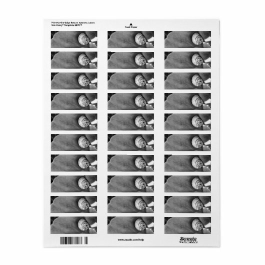 slak etiket (Full Sheet)